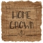 Picture of HOME GROWN