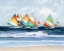 Picture of SUMMER REGATTA