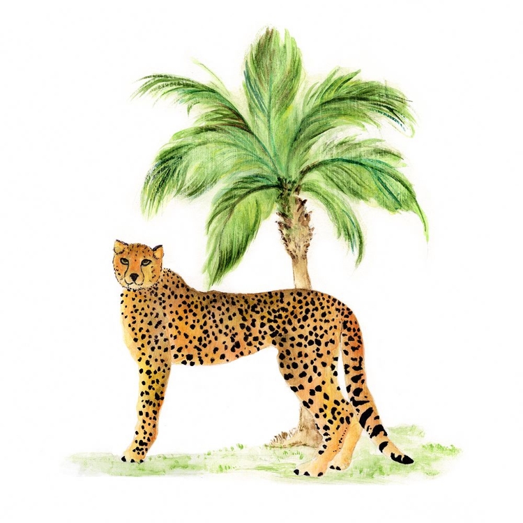 Picture of JUNGLE CAT II