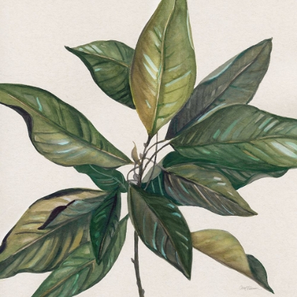 Picture of MAGNOLIA LEAVES I