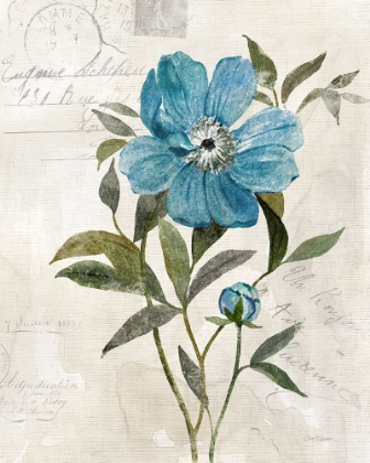 Picture of LINEN PEONY