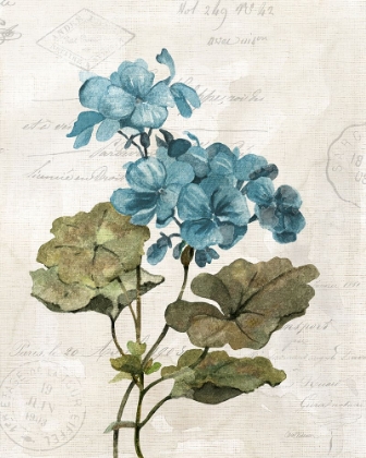 Picture of LINEN GERANIUM