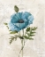 Picture of LINEN POPPY
