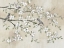 Picture of EARLY BIRDS AND BLOSSOMS