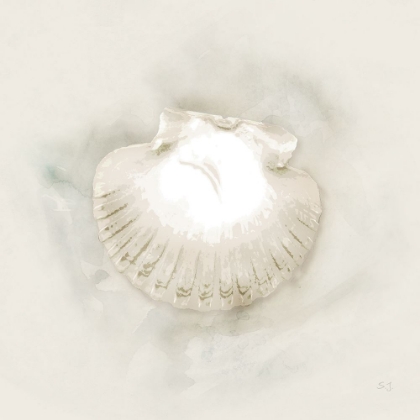 Picture of SOFT SAND AND SHELL II