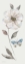 Picture of FROSTED WHITE ROSE