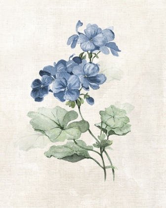 Picture of FARMHOUSE PERIWINKLE I