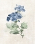 Picture of FARMHOUSE PERIWINKLE I