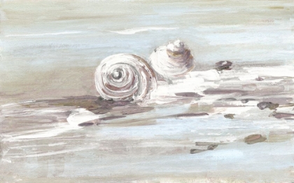 Picture of WASHED ASHORE II