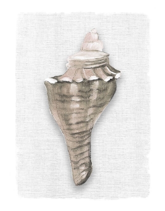 Picture of SEA FRONT SHELL I