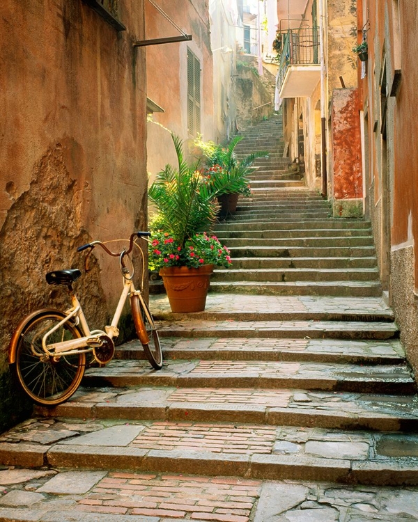 Picture of CINQUE TERRE