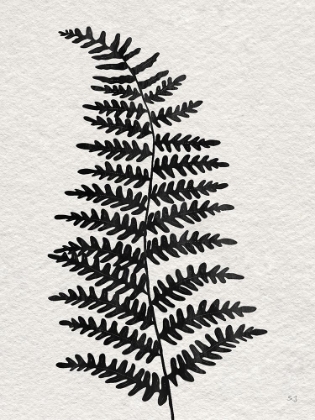 Picture of FOREST FERN II