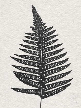 Picture of FOREST FERN IV