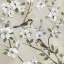 Picture of SPRING HAS SPRUNG
