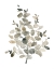 Picture of NEUTRAL EUCALYPTUS II