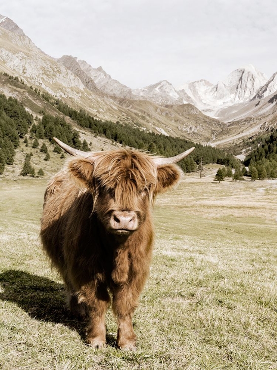 Picture of OETZTAL ALPS