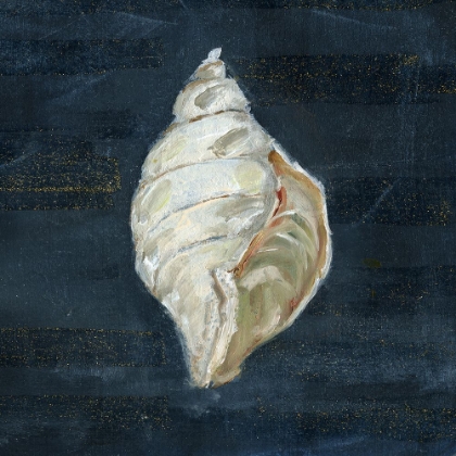 Picture of NIGHT SHELL II