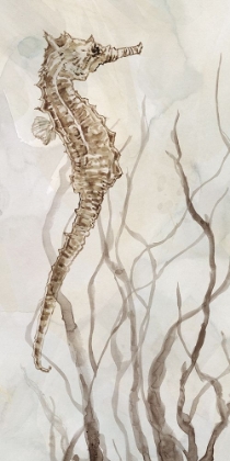 Picture of NEUTRAL SEAHORSE I