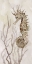 Picture of NEUTRAL SEAHORSE II