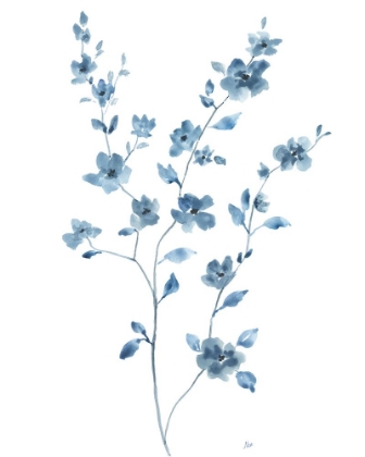 Picture of BLUE BLOSSOM II