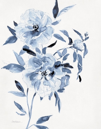 Picture of INKY CHICKORY BOTANICAL I