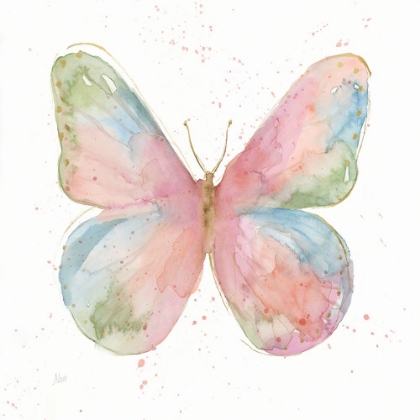Picture of BUTTERFLY BEAUTY I