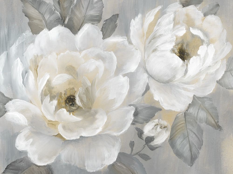 Picture of PERFECT PEONIES