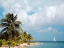 Picture of CARIBBEAN SEA