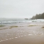 Picture of PACIFIC RIM