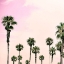 Picture of LAGUNA BEACH I