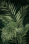 Picture of ISLAND DREAM PALMS II