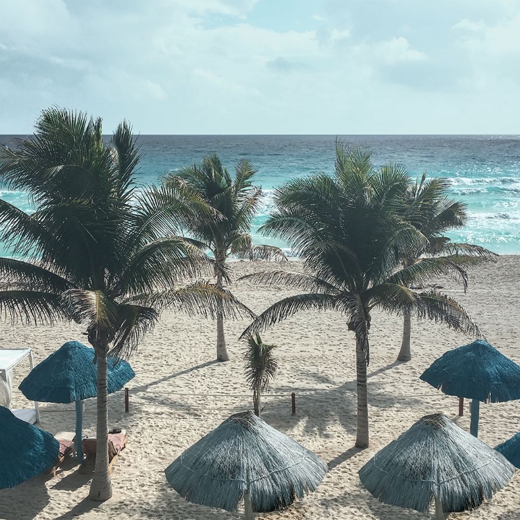 Picture of BEACH UMBRELLAS