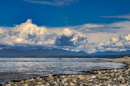 Picture of VIEW FROM THE BEACH