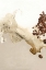Picture of THE ART OF TASTE 7