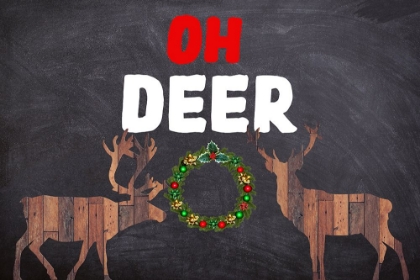 Picture of OH DEER! 2