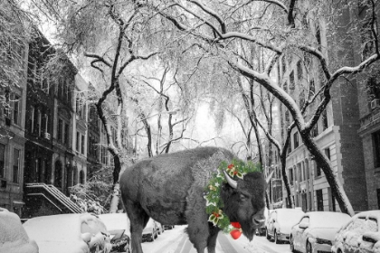 Picture of BUFFALO CHRISTMAS