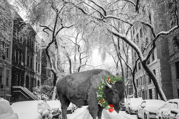 Picture of BUFFALO CHRISTMAS