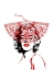 Picture of LADY IN RED