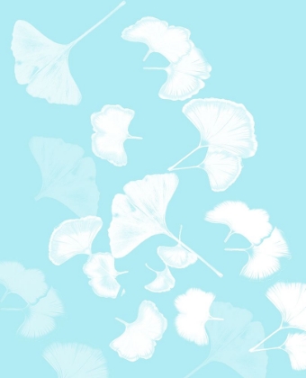 Picture of GINKGO 2