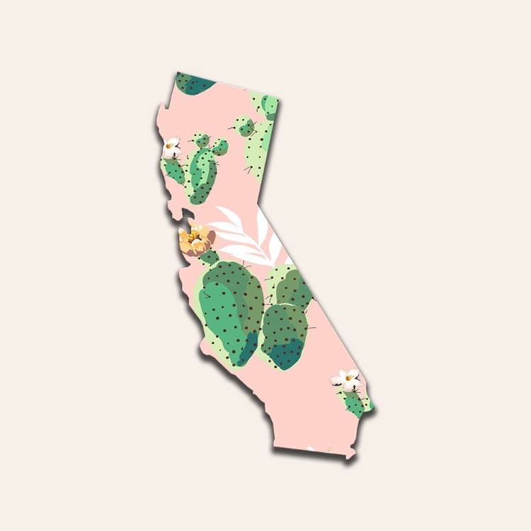 Picture of CALIFORNIA MAP