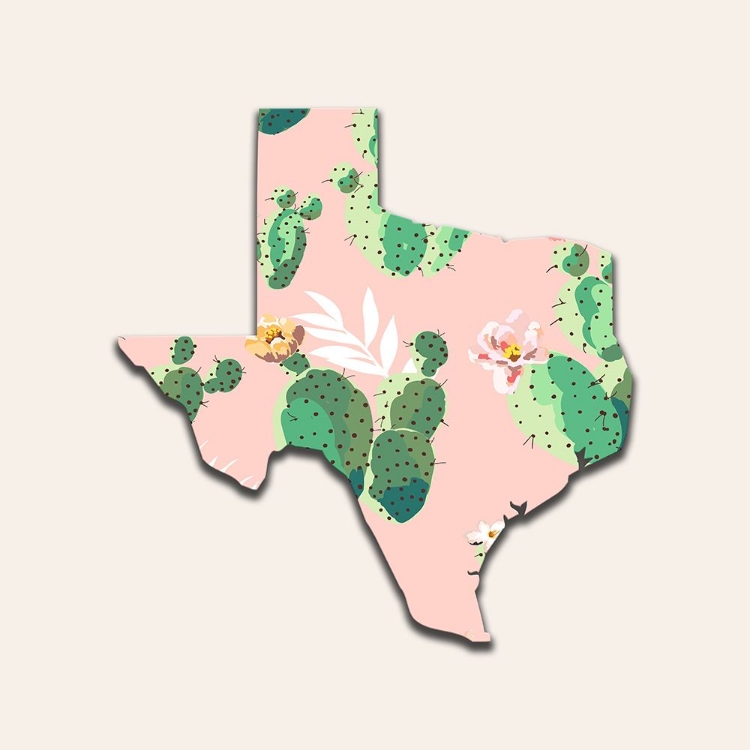 Picture of TEXAS MAP