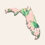 Picture of FLORIDA MAP