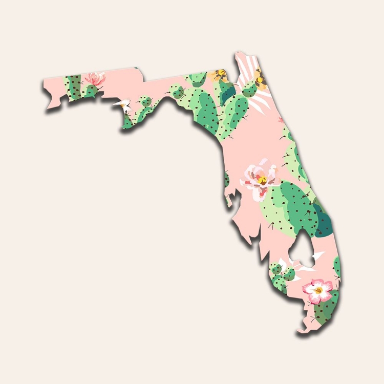 Picture of FLORIDA MAP