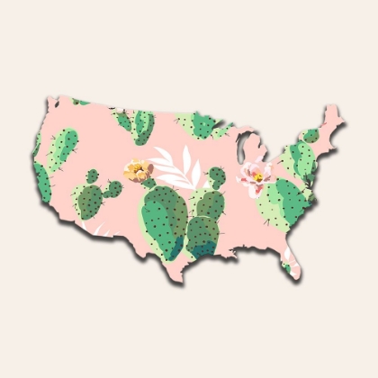 Picture of USA MAP