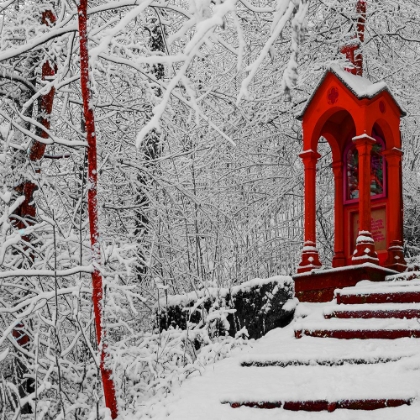 Picture of RED WINTER