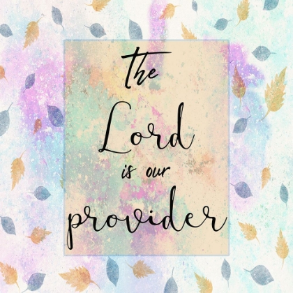 Picture of PROVIDER