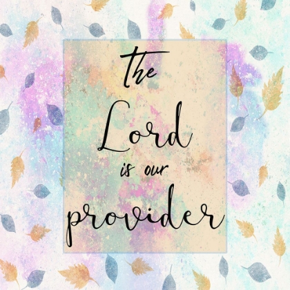 Picture of PROVIDER