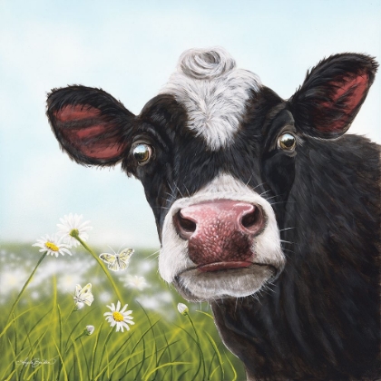 Picture of DAISY MOO