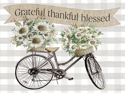Picture of GRATEFUL-THANKFUL-BLESSED BICYCLE