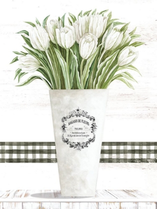 Picture of WHITE TULIPS